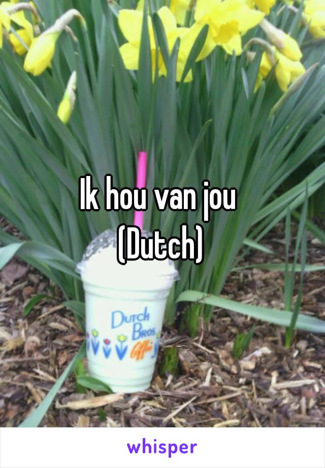 Ik hou van jou 
(Dutch)