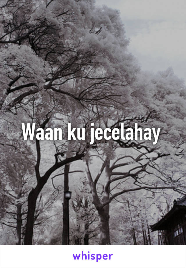 Waan ku jecelahay 