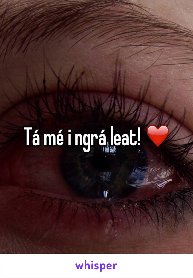 Tá mé i ngrá leat! ❤️