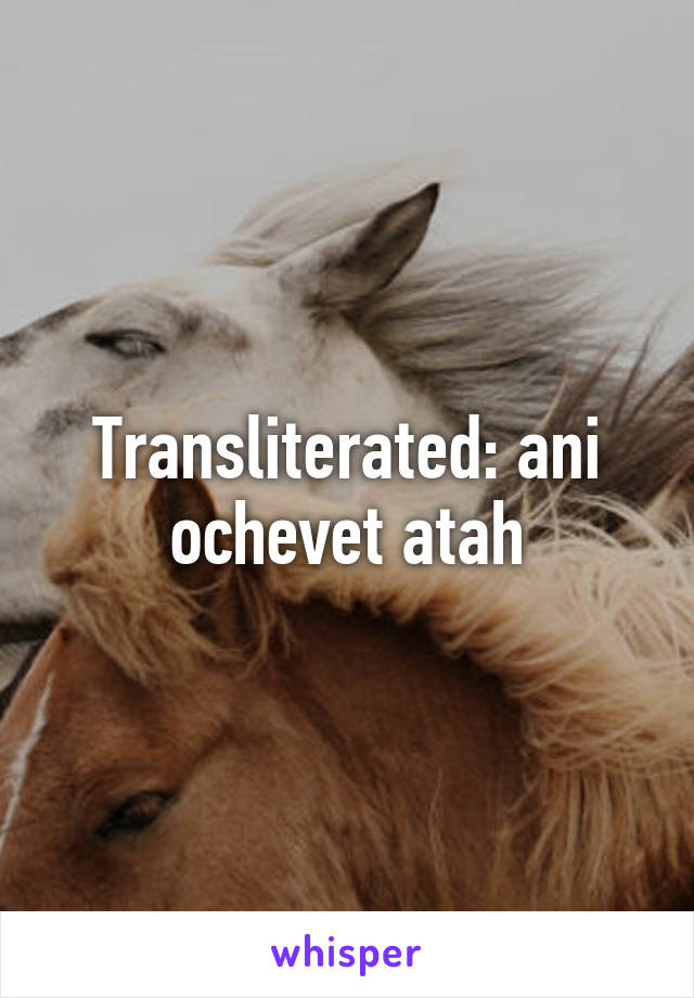 Transliterated: ani ochevet atah