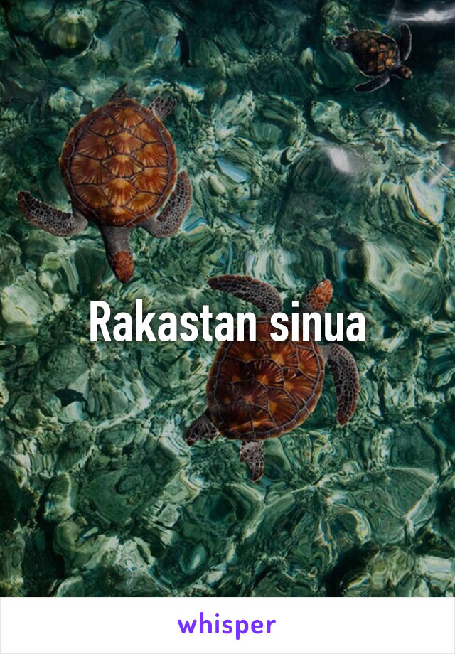 Rakastan sinua