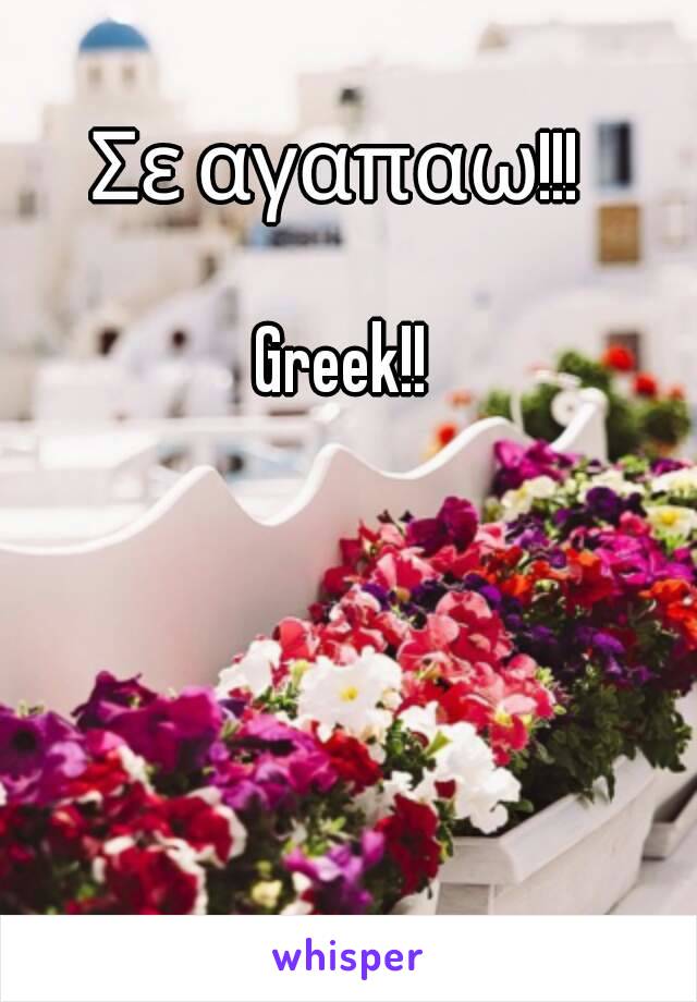 Σε αγαπαω!!! 

Greek!!