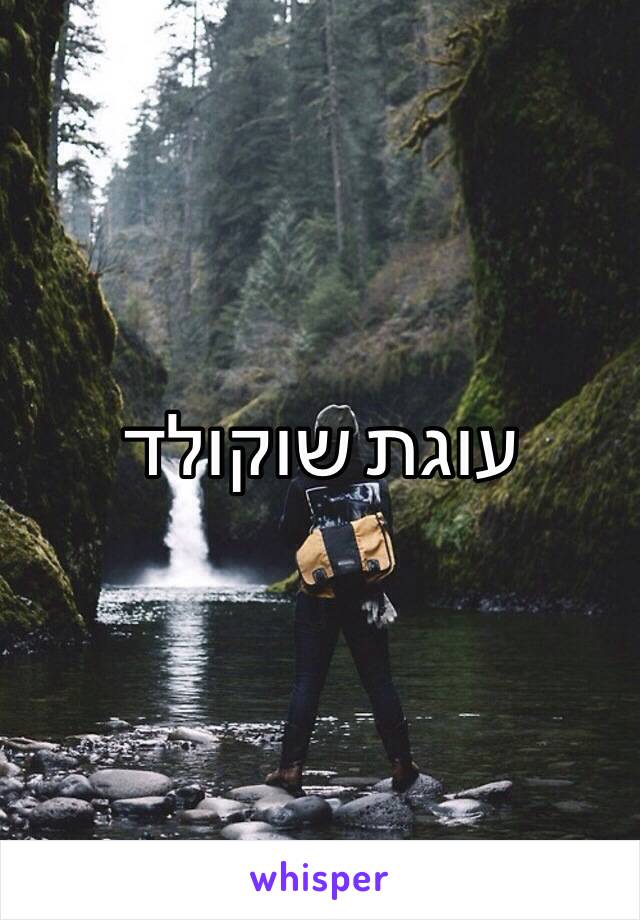 עוגת שוקולד