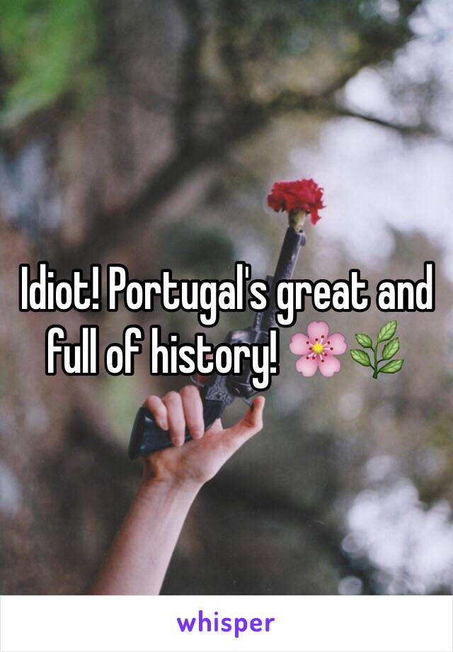 Idiot! Portugal's great and full of history! 🌸🌿