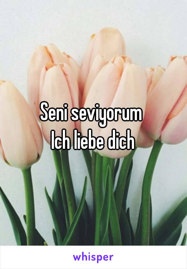 Seni seviyorum 
Ich liebe dich