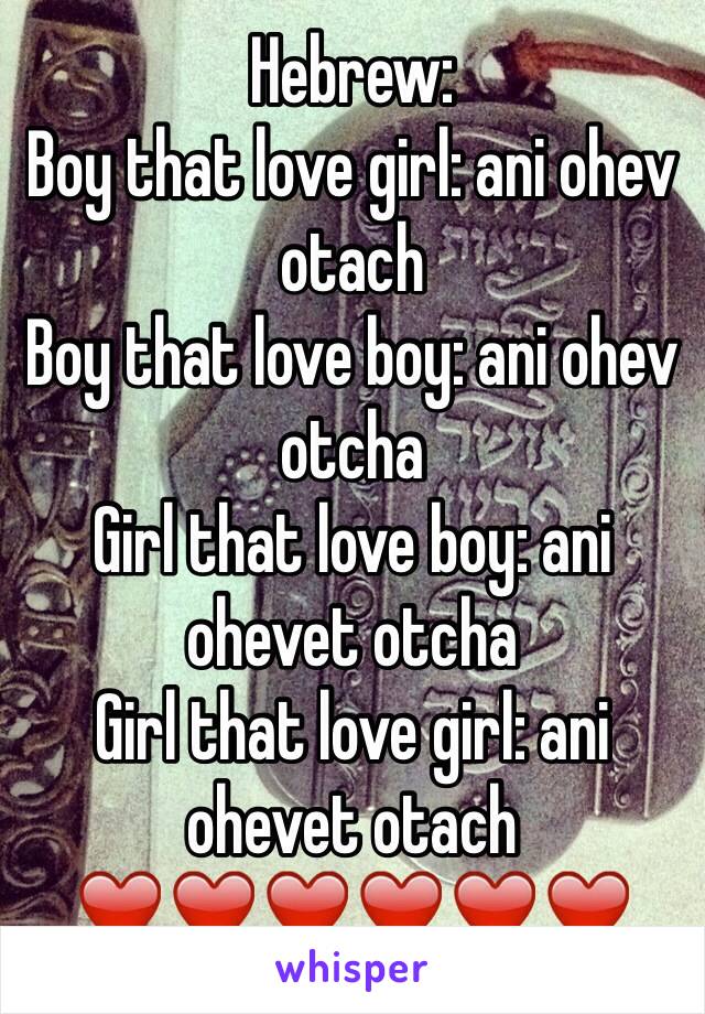 Hebrew: 
Boy that love girl: ani ohev otach
Boy that love boy: ani ohev otcha
Girl that love boy: ani ohevet otcha 
Girl that love girl: ani ohevet otach
❤️❤️❤️❤️❤️❤️