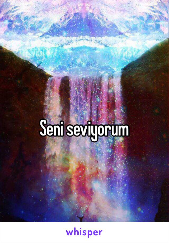 Seni seviyorum