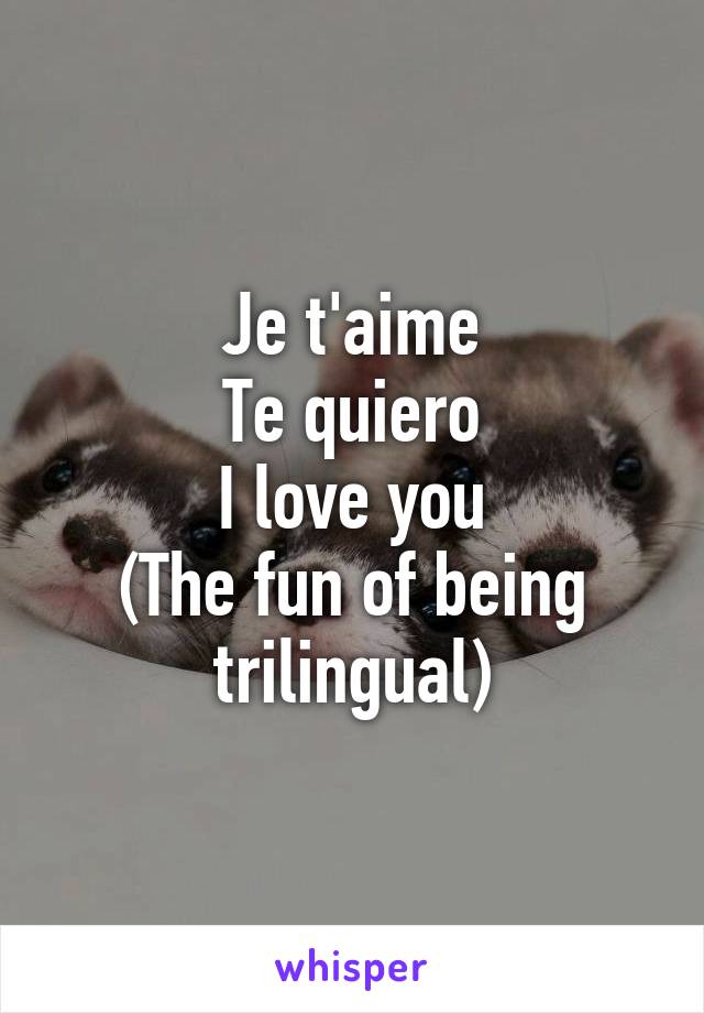 Je t'aime
Te quiero
I love you
(The fun of being trilingual)