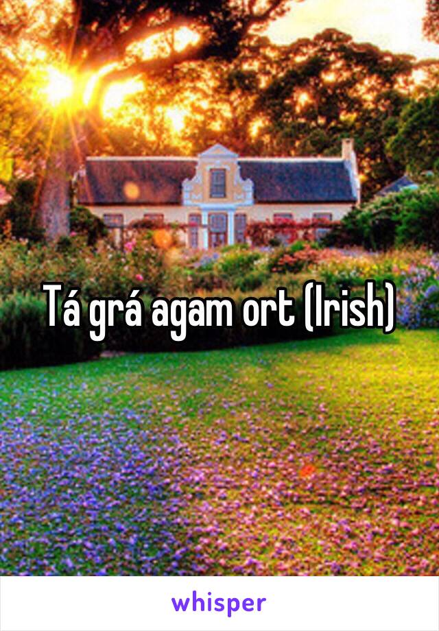 Tá grá agam ort (Irish) 