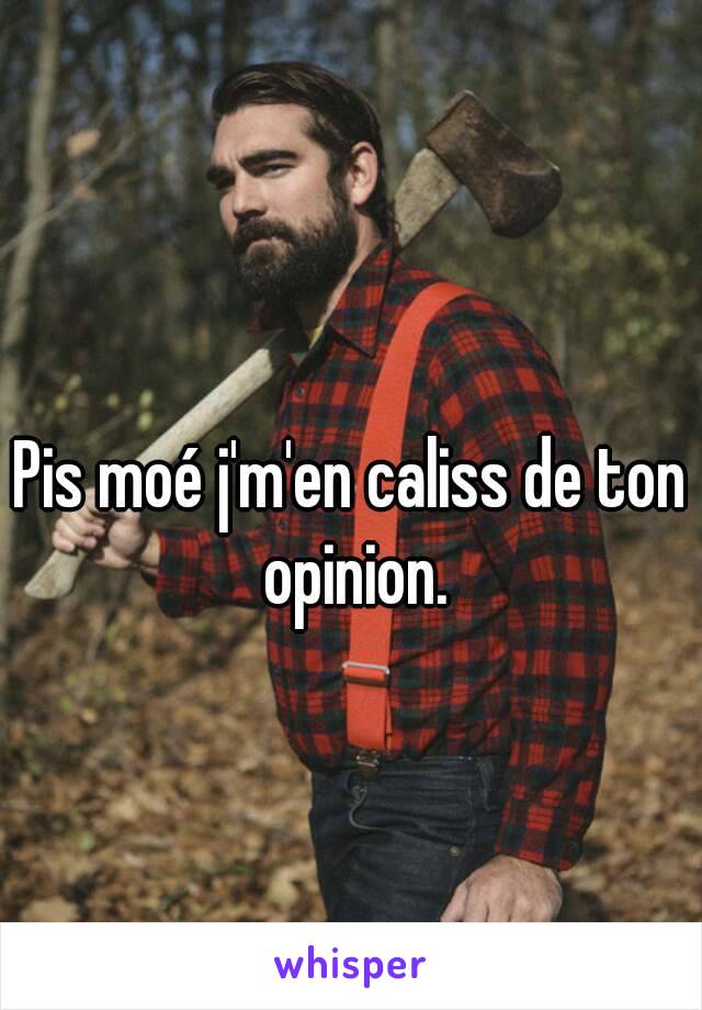 Pis moé j'm'en caliss de ton opinion.