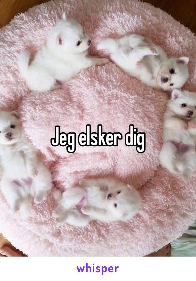 Jeg elsker dig