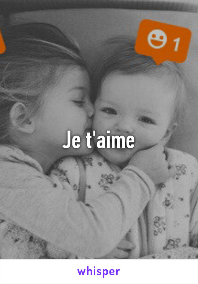 Je t'aime