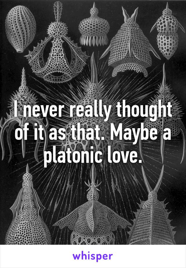 I never really thought of it as that. Maybe a platonic love.