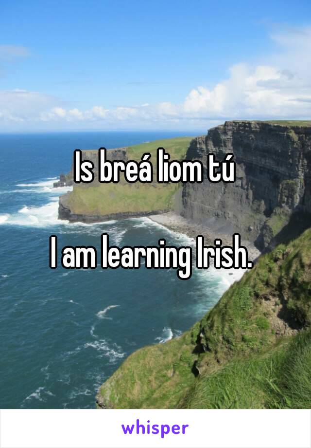 Is breá liom tú

I am learning Irish. 