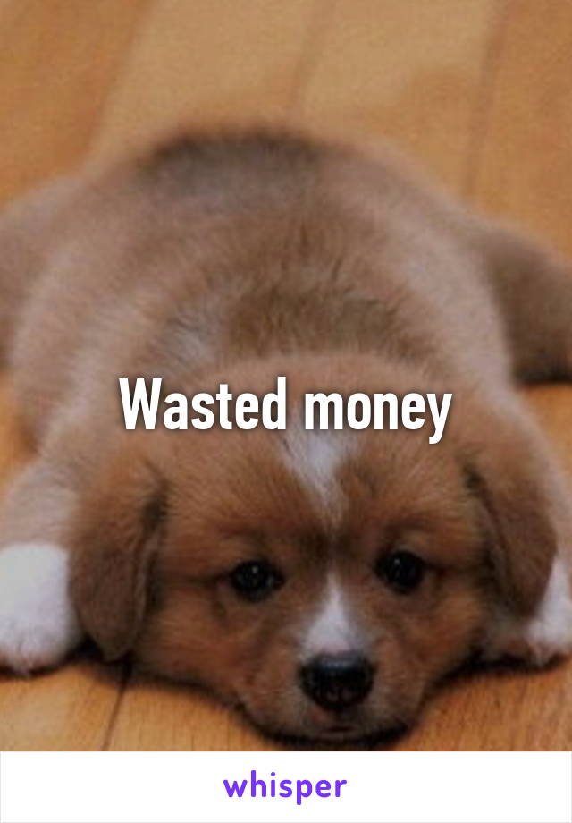Wasted money