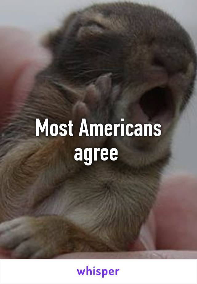 Most Americans agree 