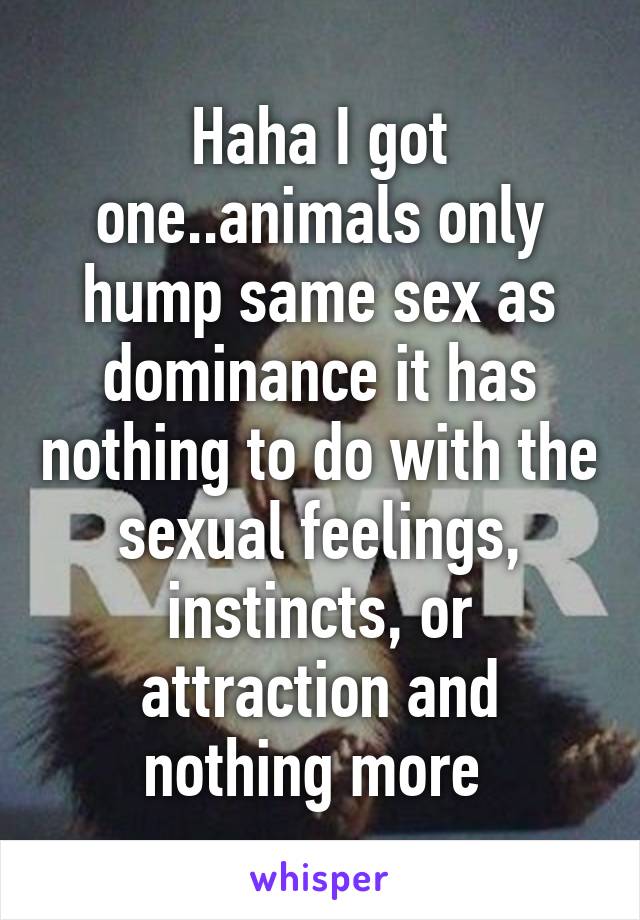 Haha I got one..animals only hump same sex as dominance it has nothing to do with the sexual feelings, instincts, or attraction and nothing more 