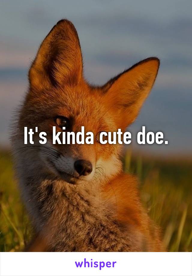 It's kinda cute doe.