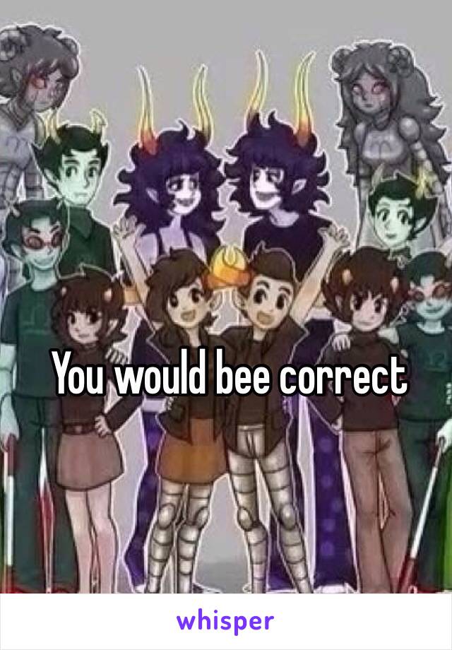 You would bee correct