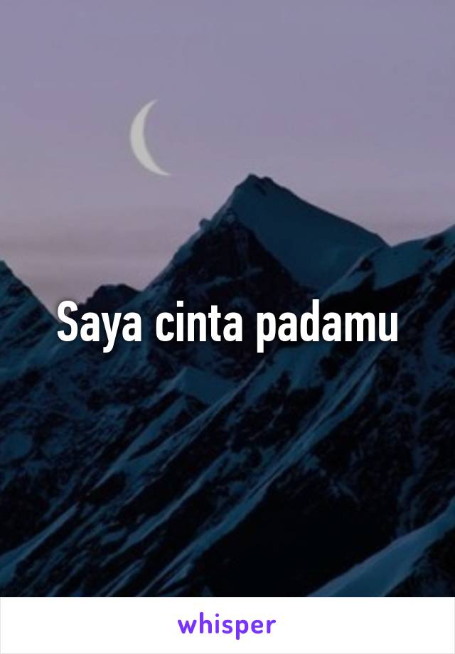 Saya cinta padamu