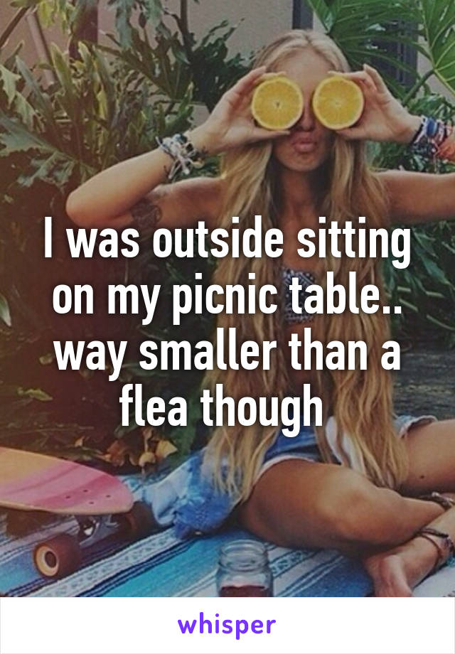 I was outside sitting on my picnic table.. way smaller than a flea though 