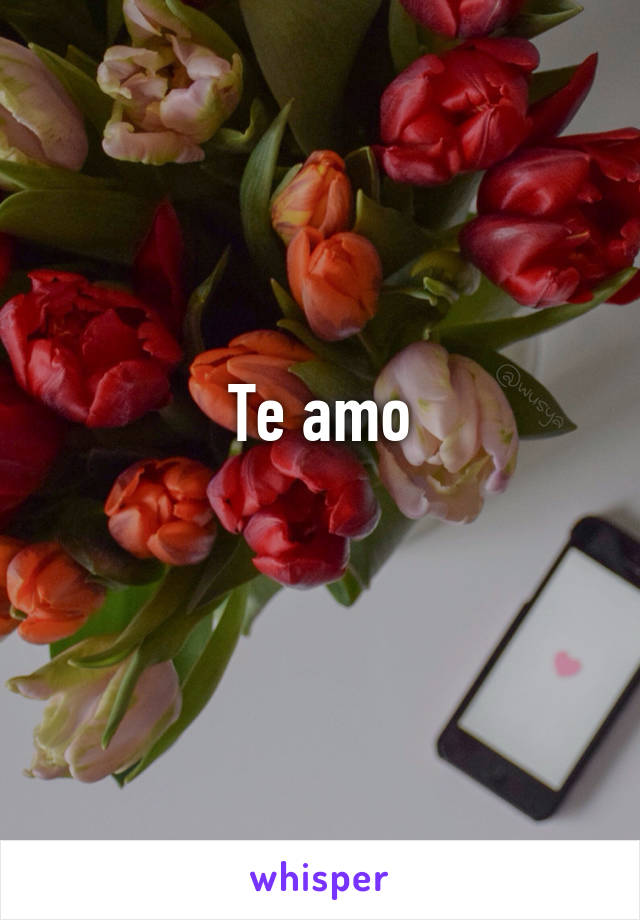 Te amo
