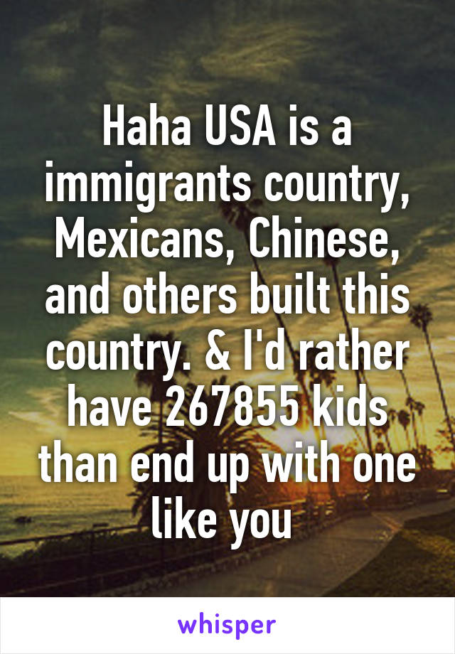 Haha USA is a immigrants country, Mexicans, Chinese, and others built this country. & I'd rather have 267855 kids than end up with one like you 