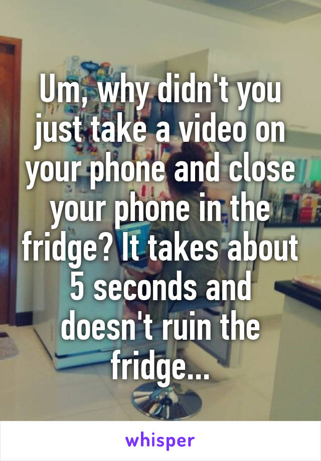 Um, why didn't you just take a video on your phone and close your phone in the fridge? It takes about 5 seconds and doesn't ruin the fridge...