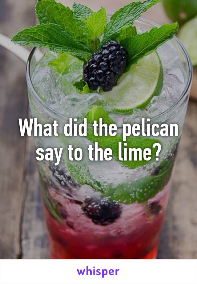 What did the pelican say to the lime?