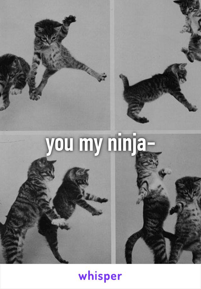 you my ninja-