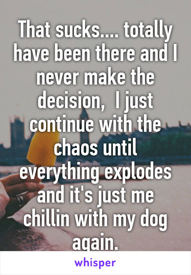 That sucks.... totally have been there and I never make the decision,  I just continue with the chaos until everything explodes and it's just me chillin with my dog again.