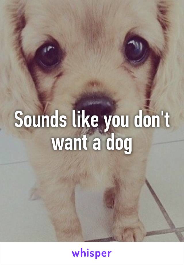 Sounds like you don't want a dog