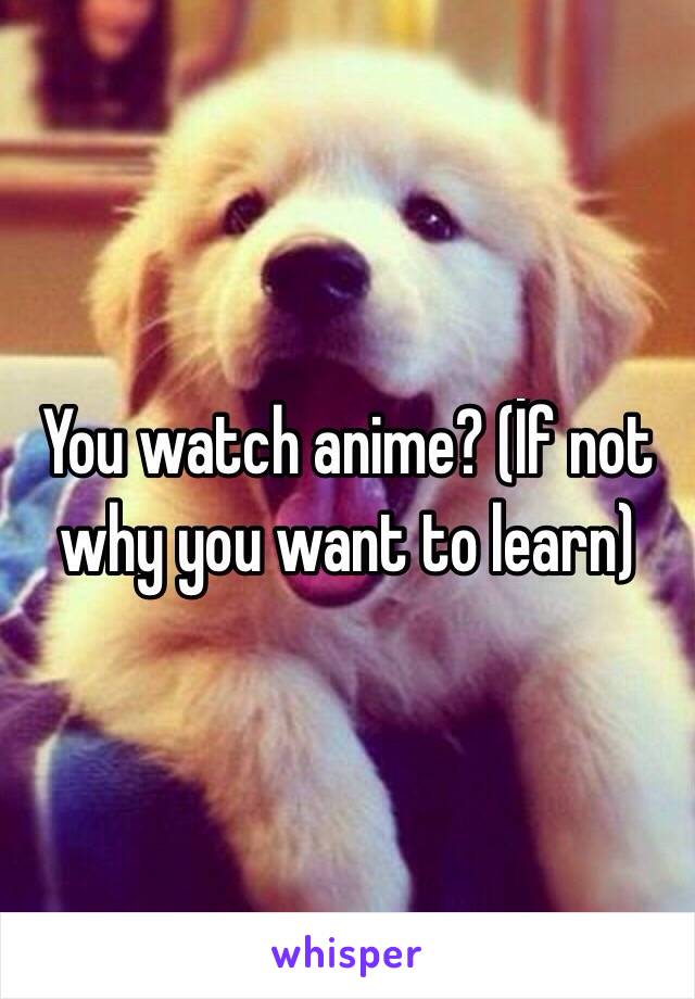 You watch anime? (İf not why you want to learn)