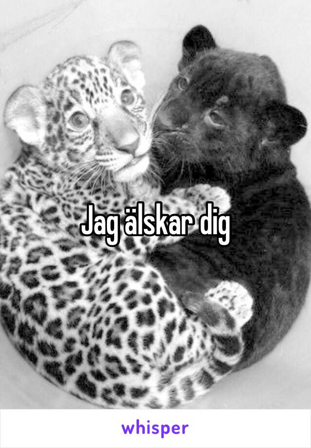 Jag älskar dig