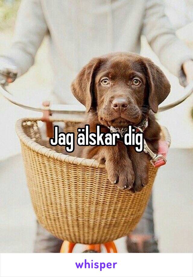 Jag älskar dig