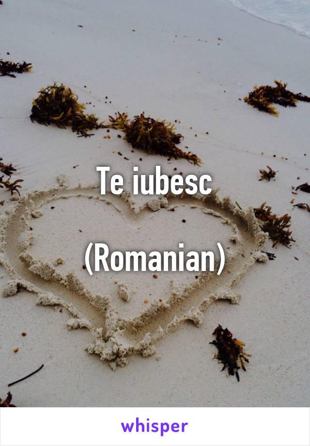 Te iubesc

(Romanian)