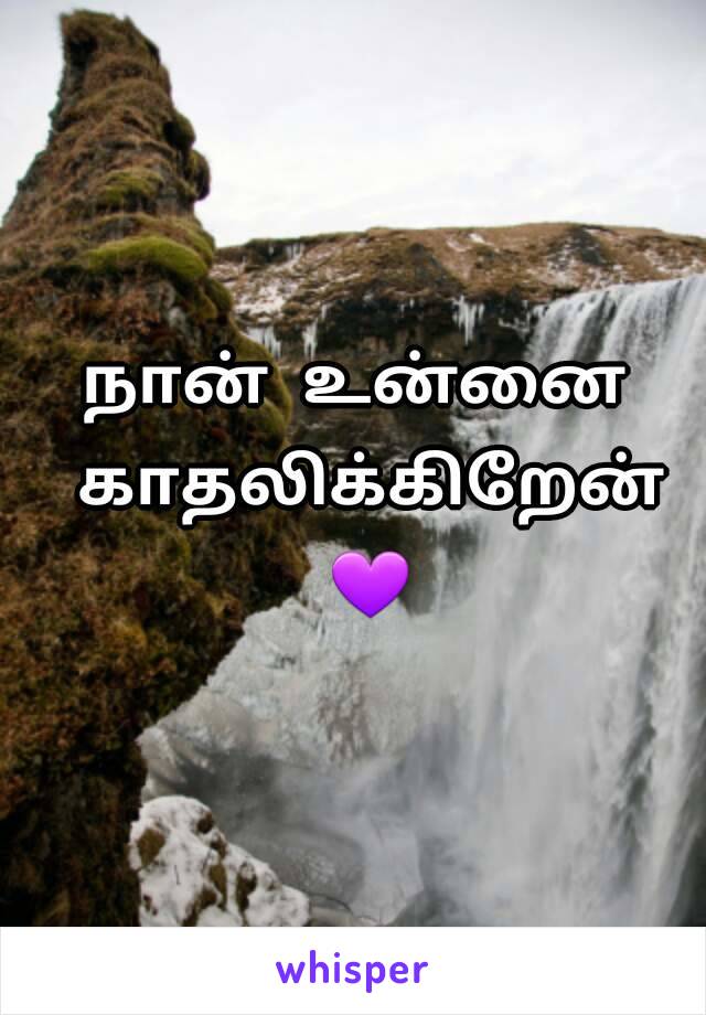 நான் உன்னை காதலிக்கிறேன் 💜