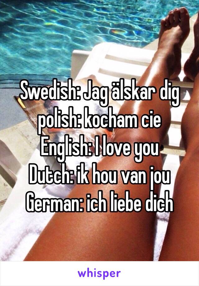 Swedish: Jag älskar dig
polish: kocham cie 
English: I love you
Dutch: ik hou van jou
German: ich liebe dich 