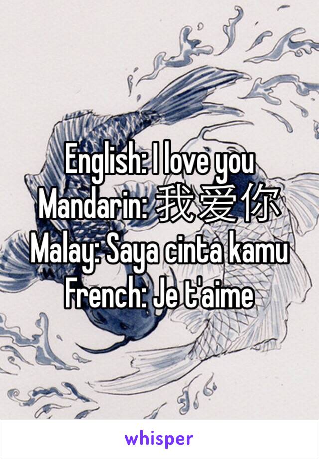 English: I love you
Mandarin: 我爱你
Malay: Saya cinta kamu
French: Je t'aime