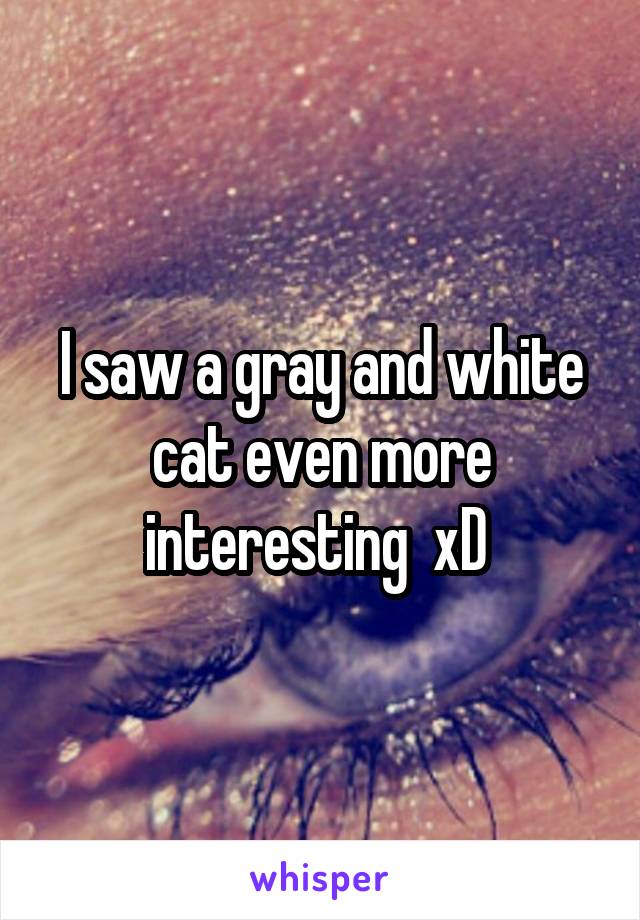 I saw a gray and white cat even more interesting  xD 