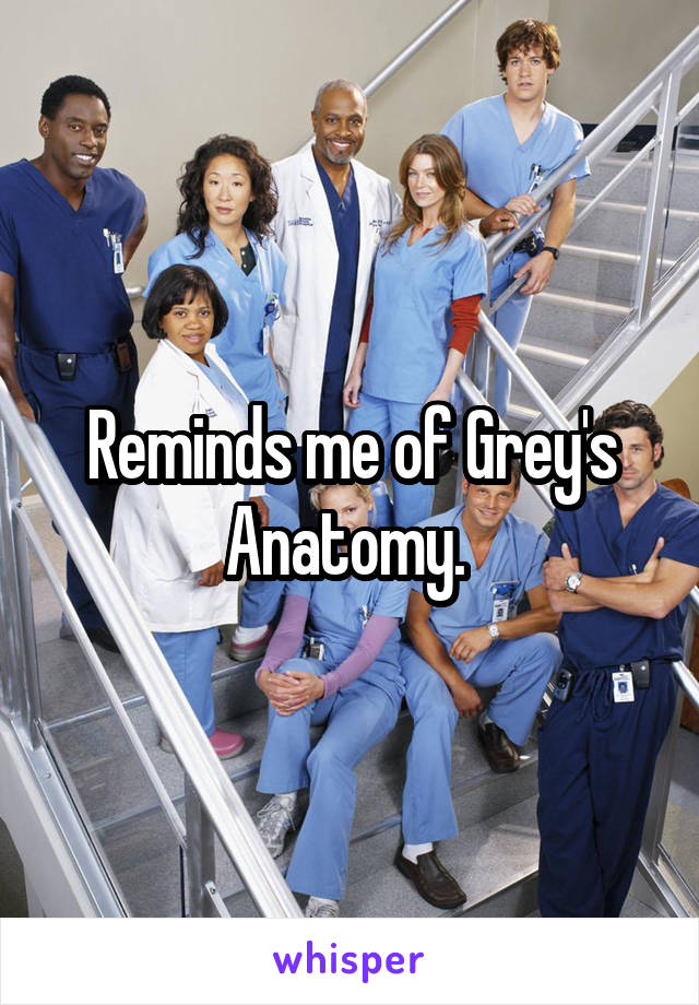 Reminds me of Grey's Anatomy. 