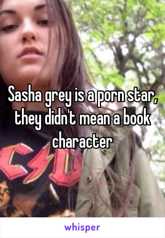 Sasha grey is a porn star, they didn't mean a book character 