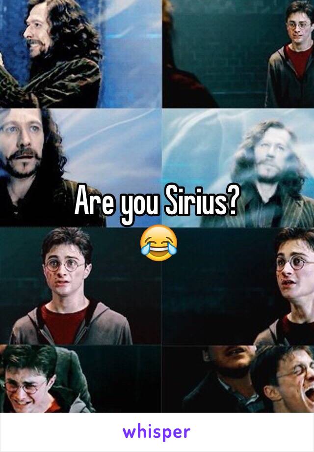 Are you Sirius?
😂