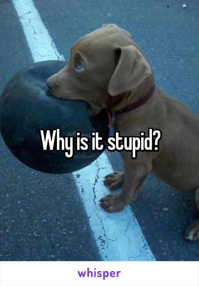 Why is it stupid?