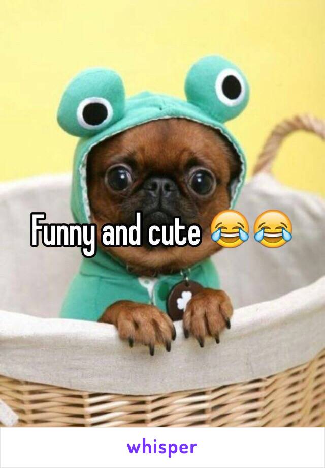 Funny and cute 😂😂