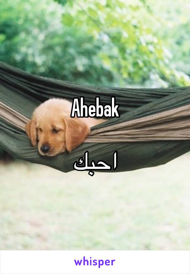 Ahebak 

احبك