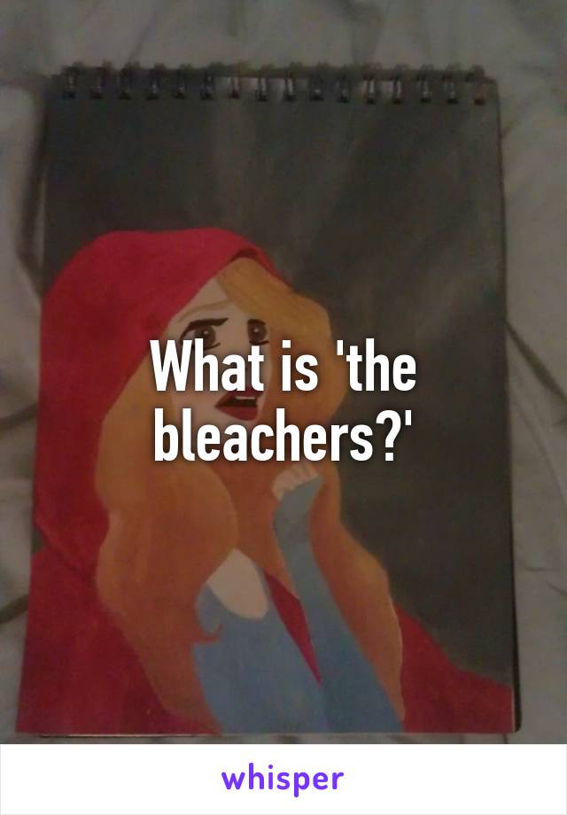 What is 'the bleachers?'