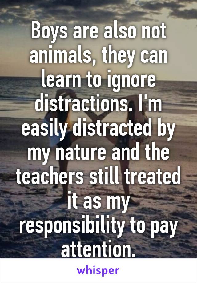 Boys are also not animals, they can learn to ignore distractions. I'm easily distracted by my nature and the teachers still treated it as my responsibility to pay attention.