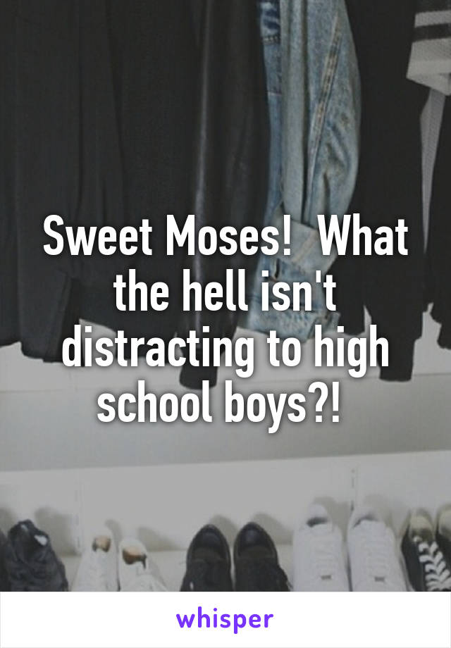 Sweet Moses!  What the hell isn't distracting to high school boys?! 