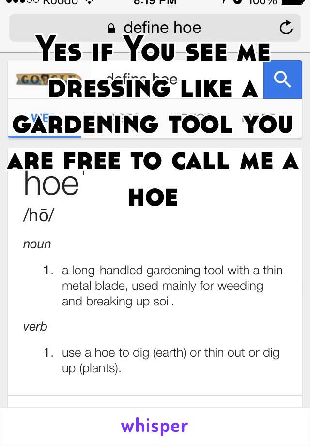 Yes if You see me dressing like a gardening tool you are free to call me a hoe 